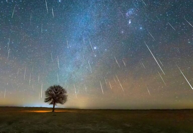 2bd41431 dd81 4b51 927a 93f241aa4c02 file.jpg