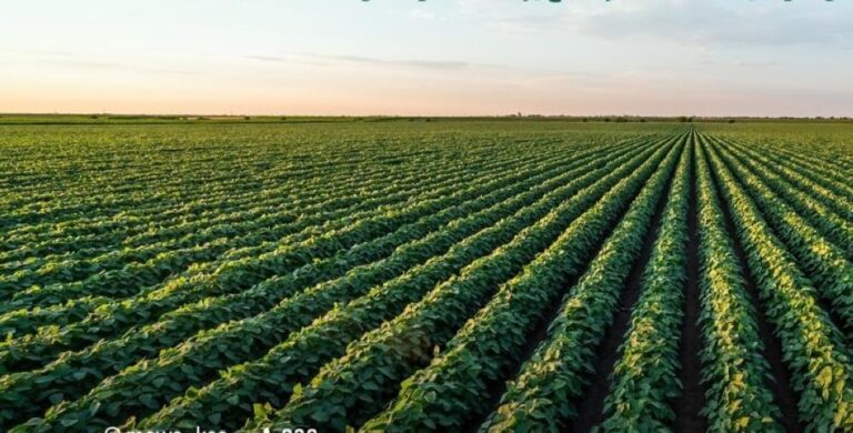 2d4c2a6b d00d 4584 b411 01258bf6ef97 file.jpg