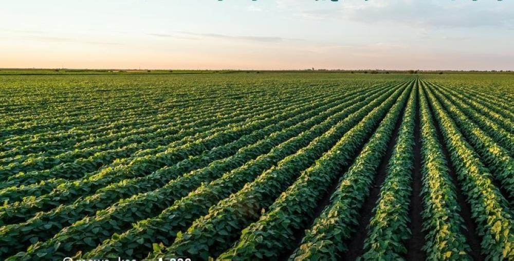 2d4c2a6b d00d 4584 b411 01258bf6ef97 file.jpg