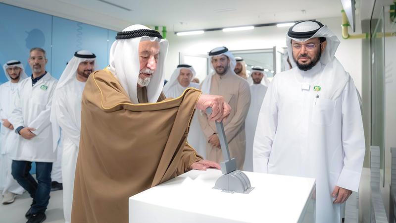 31ccbadf 254d 401f a292 7c79e78131ca file.jpg