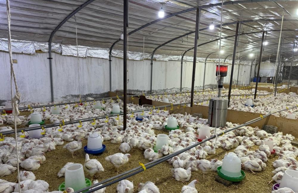 3637b539 9238 4c20 a5f5 fc4243541801 file.jpg