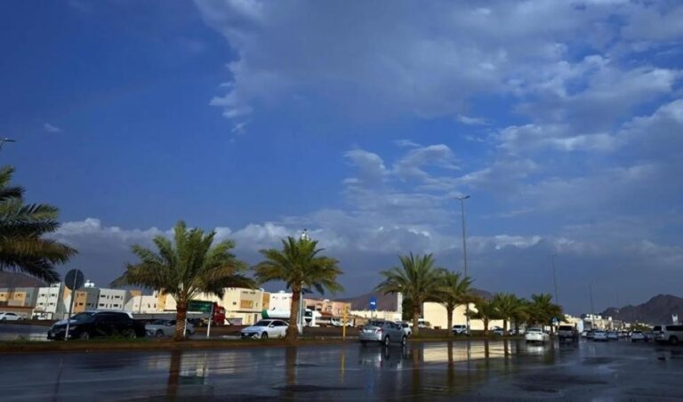 37b58a12 cab1 49c9 947b 03ee5244595b file.jpg