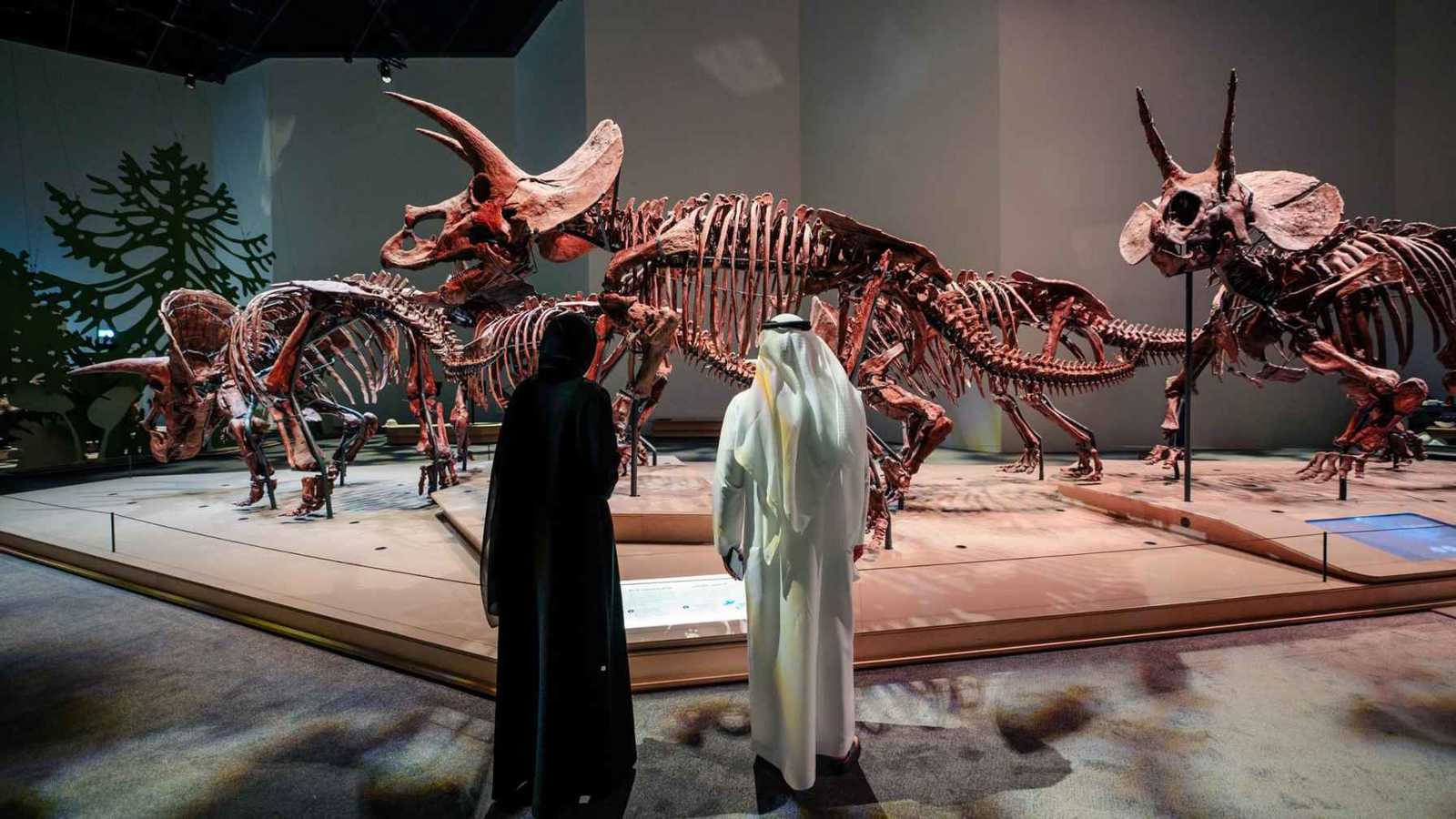 “متحف التاريخ الطبيعي أبوظبي” يروي حكاية الأرض بكل أسرارها