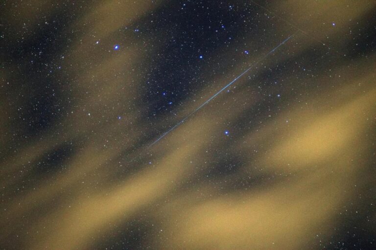 38cca61d a81d 4ce7 b75e dfd48ff2bce3 file.jpg