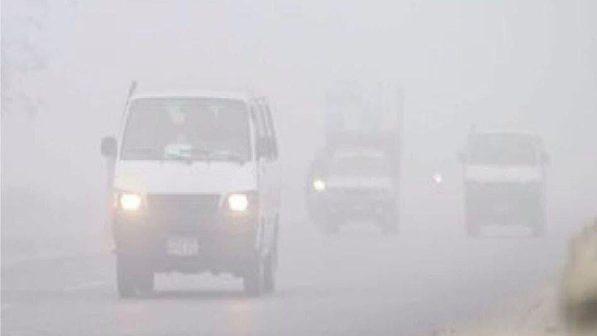 3bdc8eb1 6295 4027 8db0 b114fee74da7 file.jpg