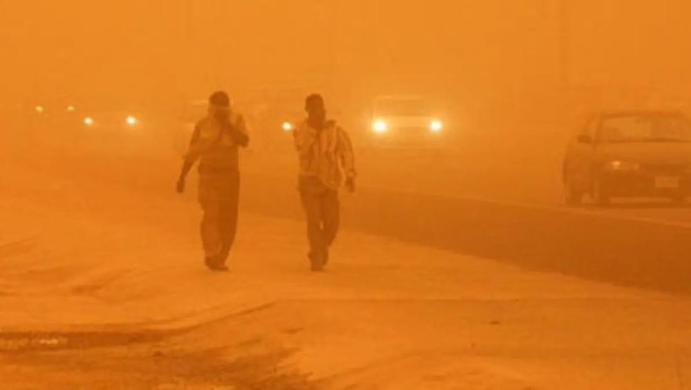 3ed04c1f a43c 4b7c 8df8 20a49acdd62b file.jpg