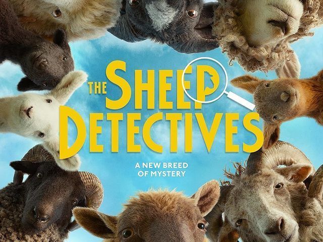 3f636303 f2a9 4f9b a444 85a8d4ceba84 file.jpeg