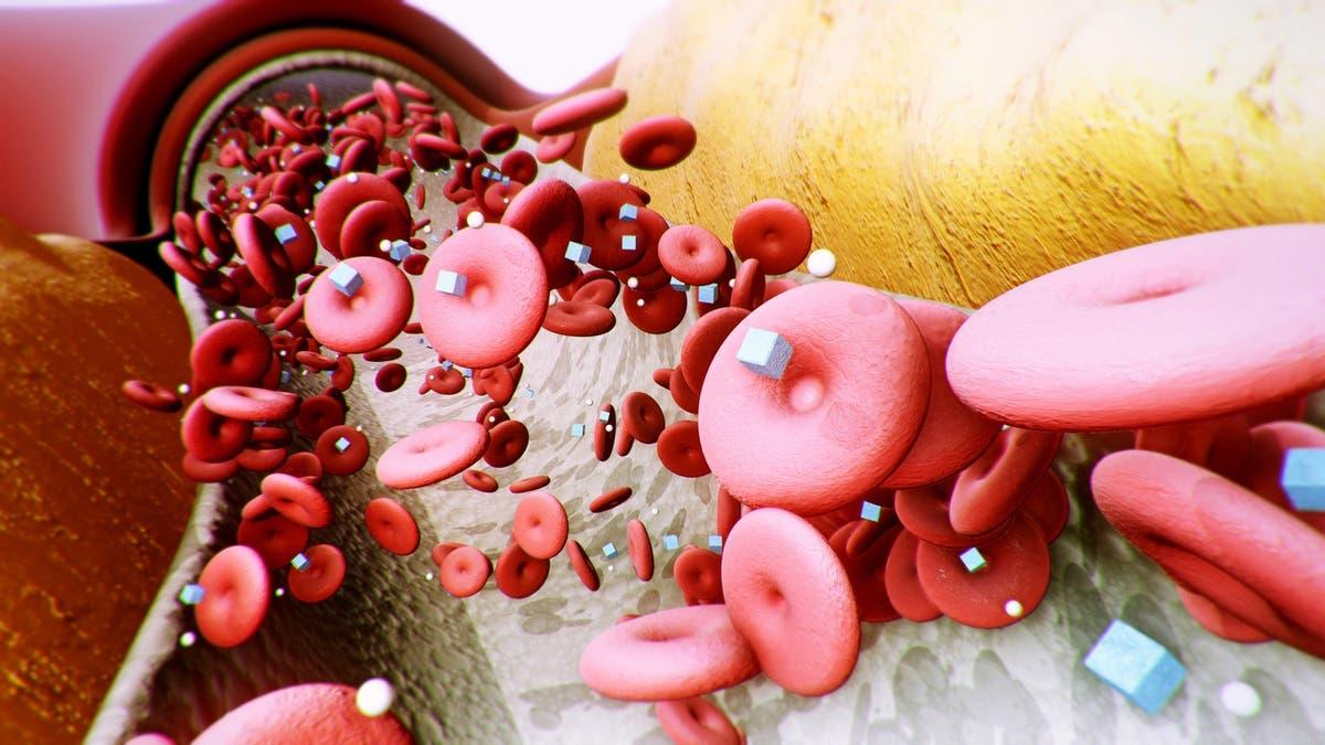 406a9eaa ed38 4e23 bcf5 cf3ca5931da3 file.jpg