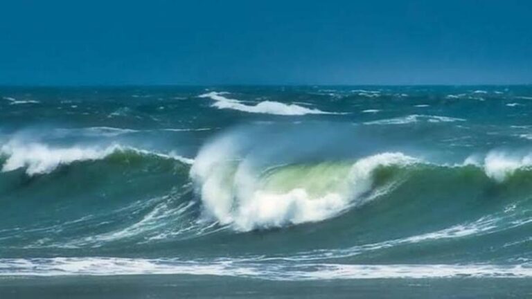 44c5458f 25b6 4c0e b633 3fd962bfc840 file.jpg