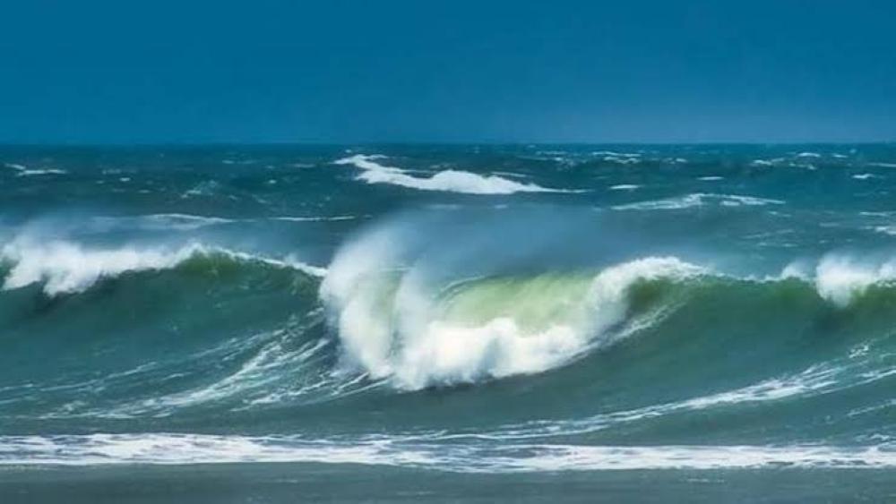 44c5458f 25b6 4c0e b633 3fd962bfc840 file.jpg