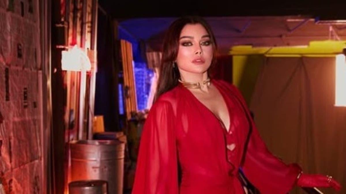 بقرار قضائي.. هيفاء وهبي تعود للغناء في مصر