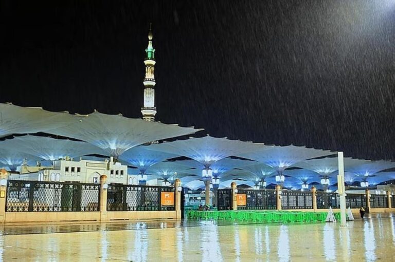 47014f06 3a2e 4cba b03d e7271336ba2b file.jpg