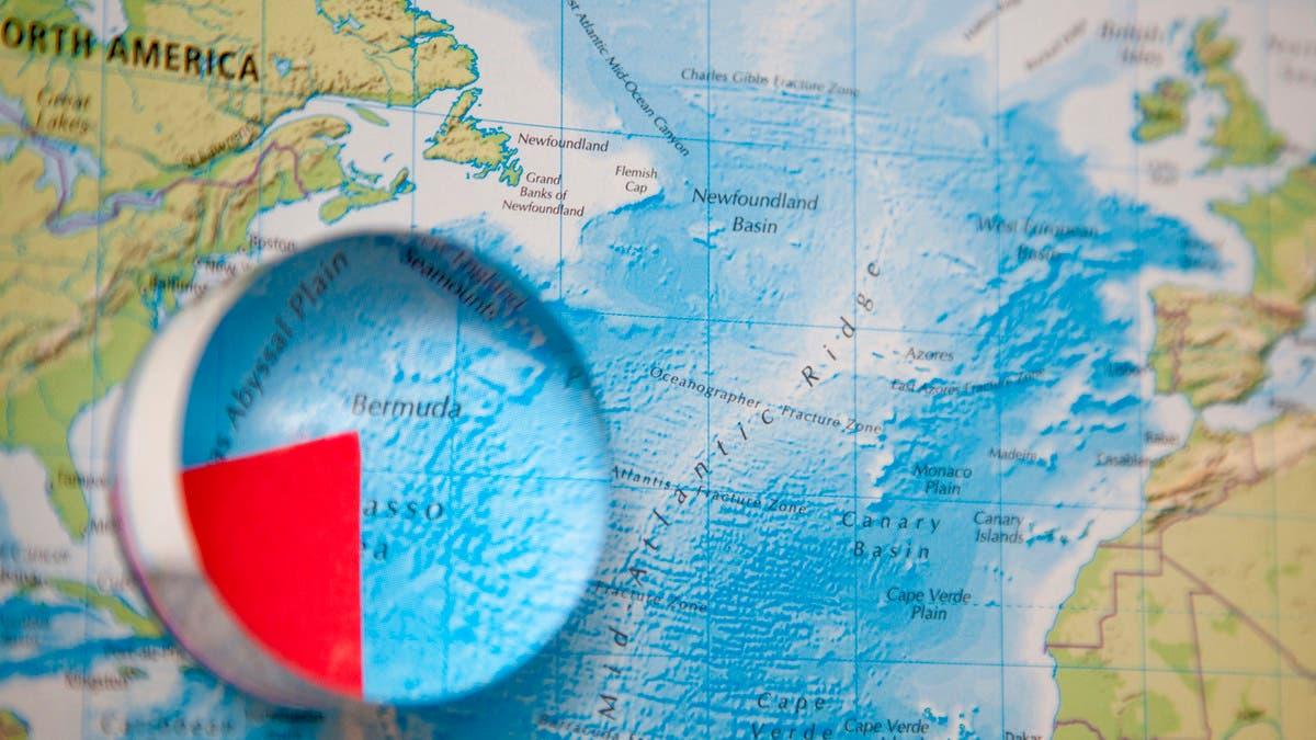 47739692 57a6 4826 a307 a08fd673f6f0 file.jpg