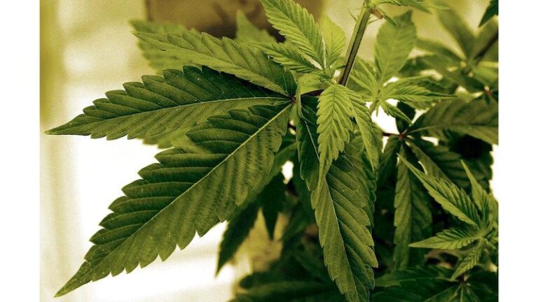 4d8bbc89 204d 40aa b9b3 cd39e0603b09 file.jpg