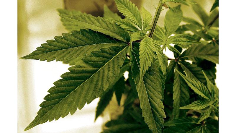 4d8bbc89 204d 40aa b9b3 cd39e0603b09 file.jpg