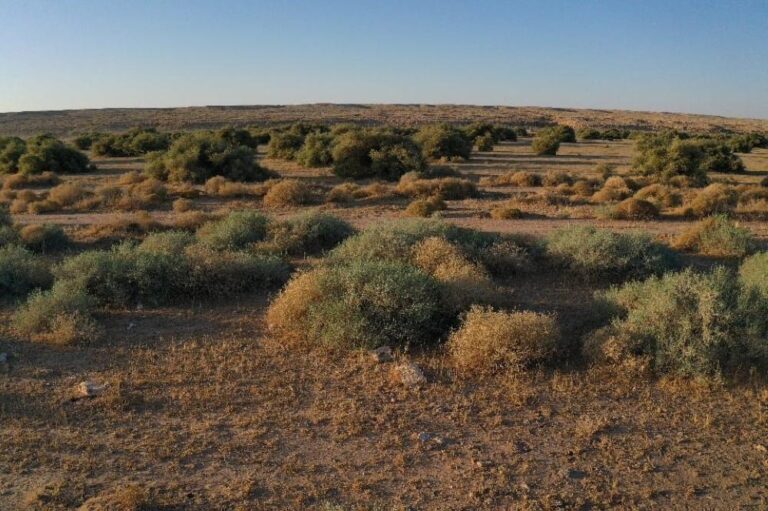 50dc258b 5d46 4c5f 9cc7 6adb3382bffc file.jpg