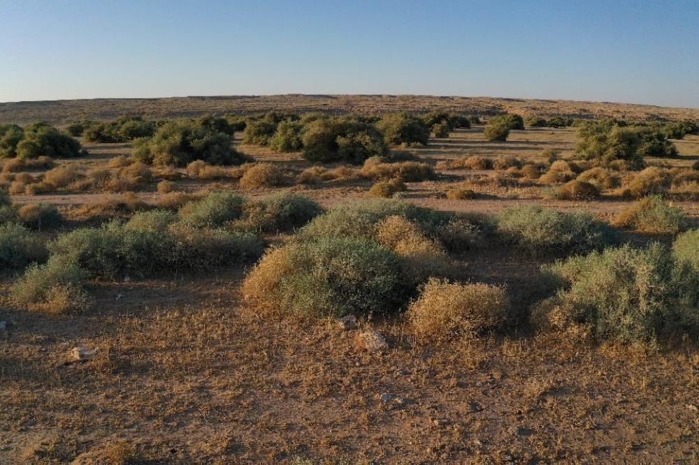 50dc258b 5d46 4c5f 9cc7 6adb3382bffc file.jpg