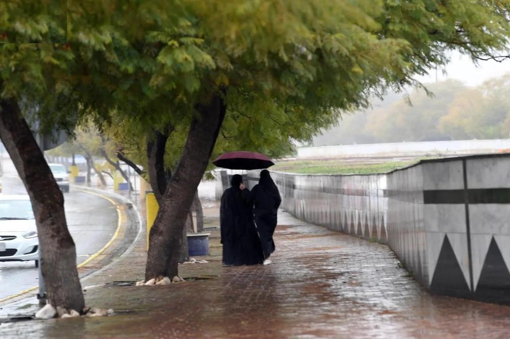 53e28154 e1f6 412e bdc0 294dc31ca952 file.jpg