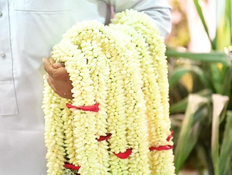 564cfe68 86ff 4c57 ad9b b469d5a8a757 file.jpg