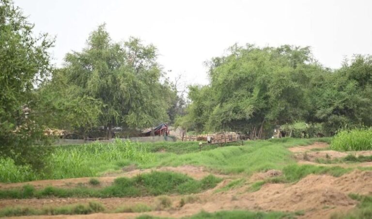 5893a029 1edb 4b62 a5a7 4eea4ab6e1b4 file.jpg