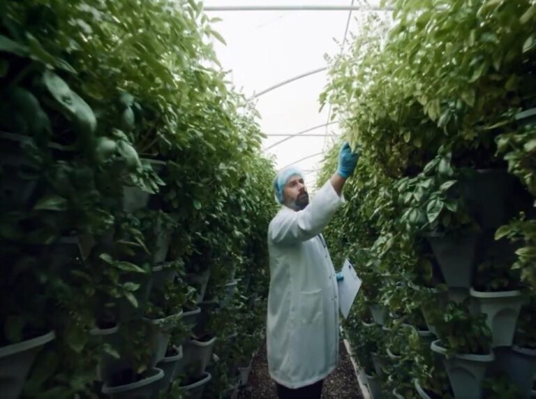 58d1b807 d025 4f4e b5f9 1738a16d5e2c file.jpg