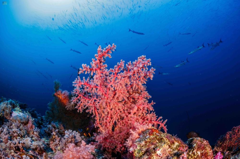 5b9a7440 06a2 403e 8487 1c639278c270 file.jpg