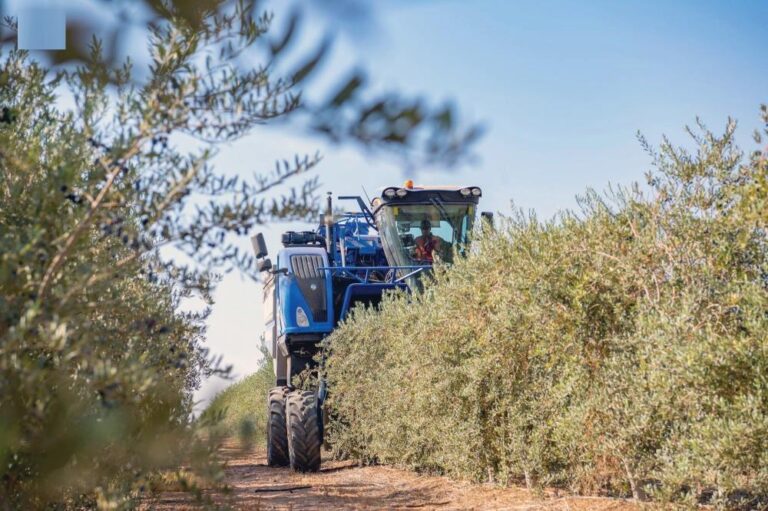 5e85dbe4 fddb 4259 80bb f06461d71e48 file.jpg