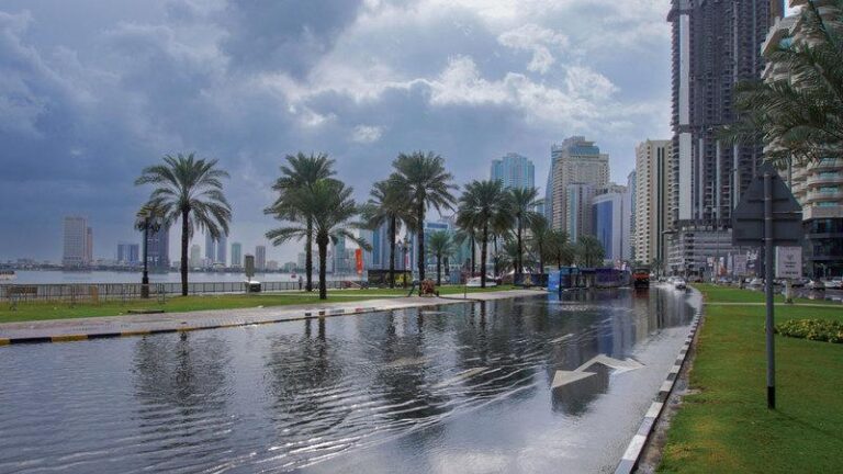 6350f437 ac1d 44cd a764 346853d109da file.jpg