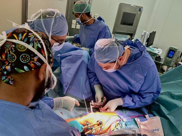 691ce61e 21ba 4128 b989 5edfcc439495 file.jpg