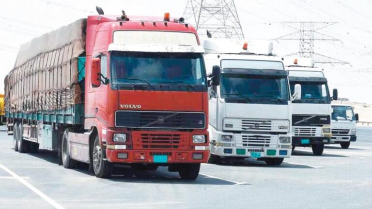 6935f8c6 7dba 4654 9e2d 1a71eef476fa file.jpg