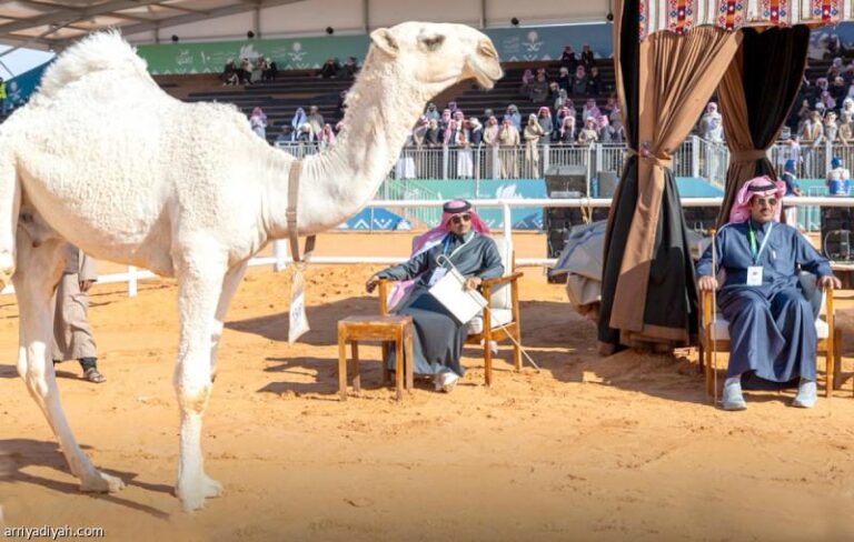 69406acb 3b97 433a 933a 3762bca16891 file.jpg