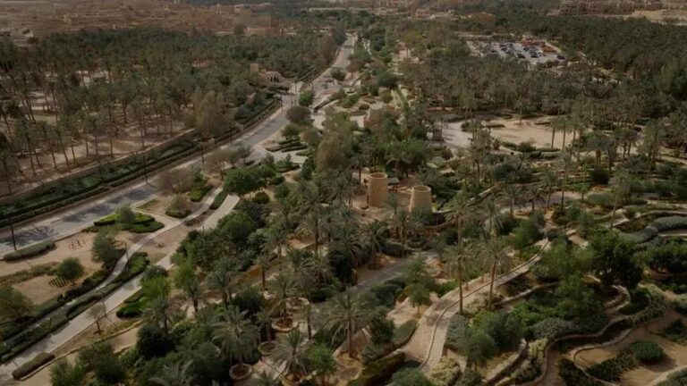 6aa3f2e3 4429 4e28 8d69 03edc3dda22e file.jpg