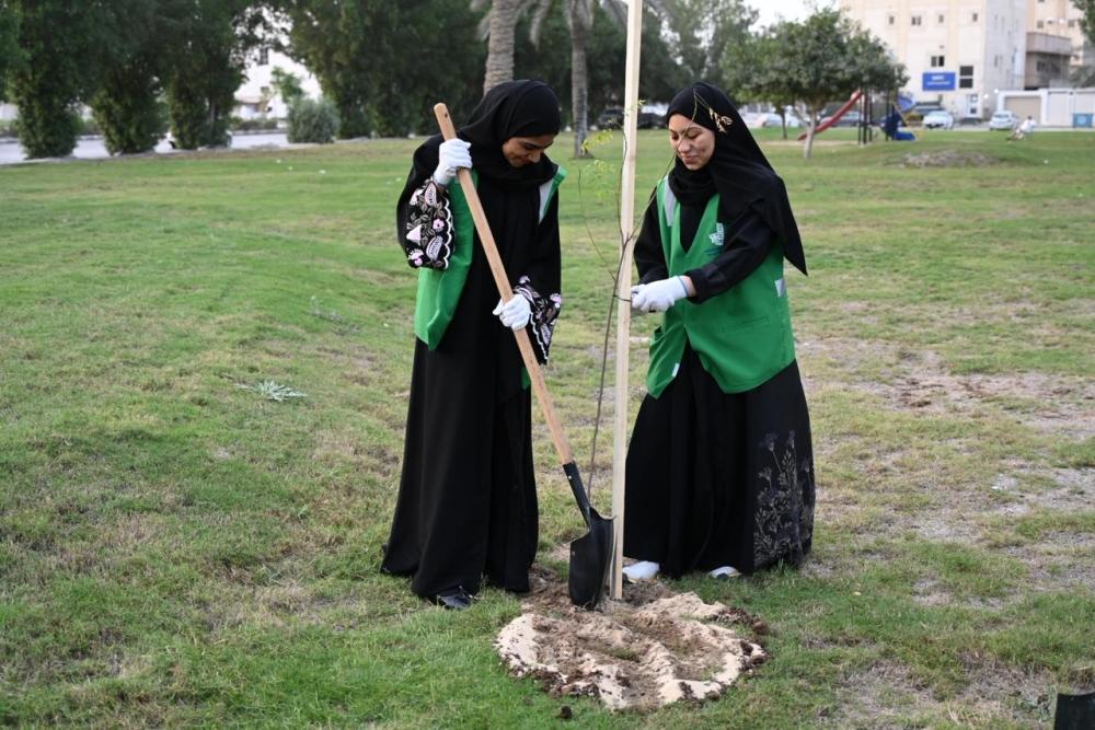35 متطوعًا يغرسون 50 شجرة ظل بممشى سيهات لتعزيز الرقعة الخضراء