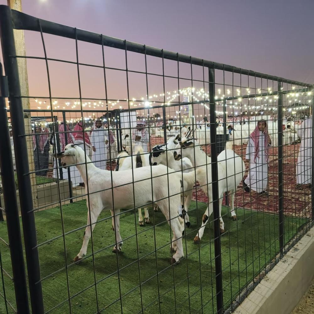 6f00582b 35e6 4ff3 adad 5a54920a4155 file.jpg