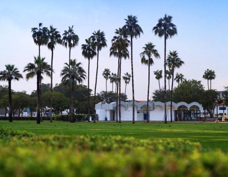 722cf5cb dd30 456e af9a a62448d78e8e file.jpg