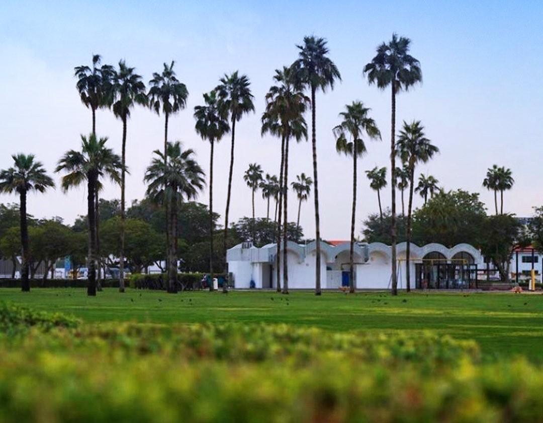 722cf5cb dd30 456e af9a a62448d78e8e file.jpg