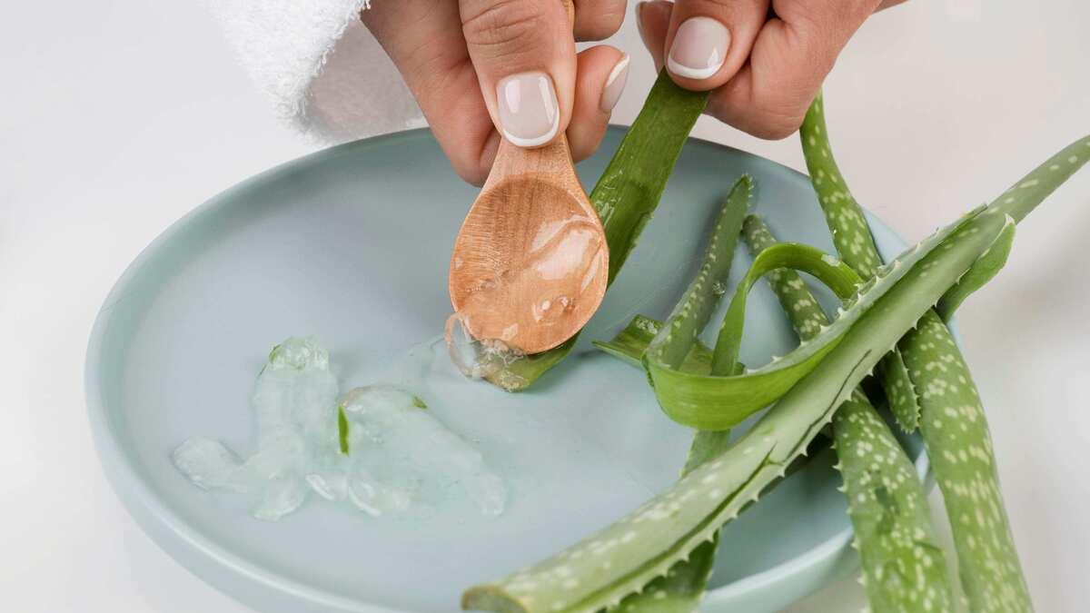 74a44bc1 1878 4f33 ab3b e652a5347cd4 file.jpg