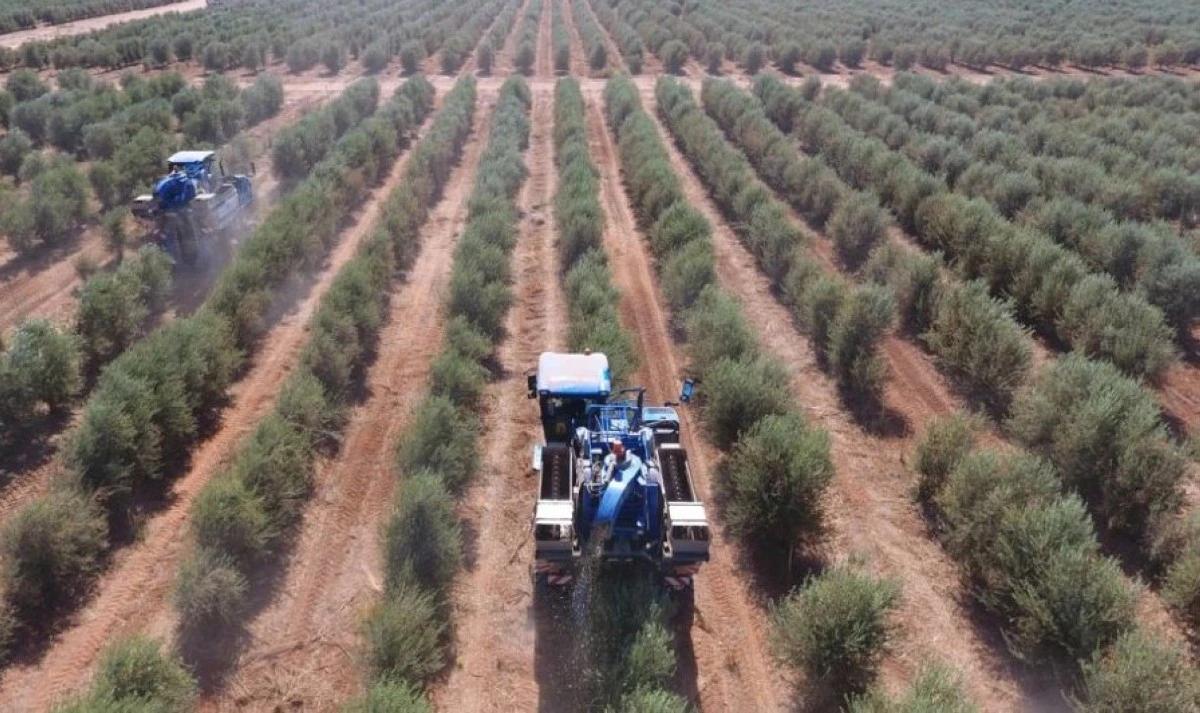 7944ba0a 3f2e 4d6e 8152 e1e7e455ed37 file.jpg