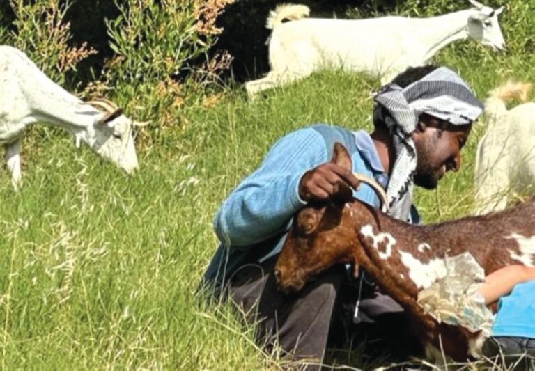 7ad52447 1f6c 4f40 87f0 8a1d88631650 file.jpg