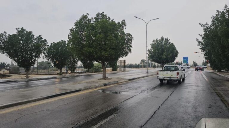 7af083a1 584a 40ea a71d b9004d3e1129 file.jpg