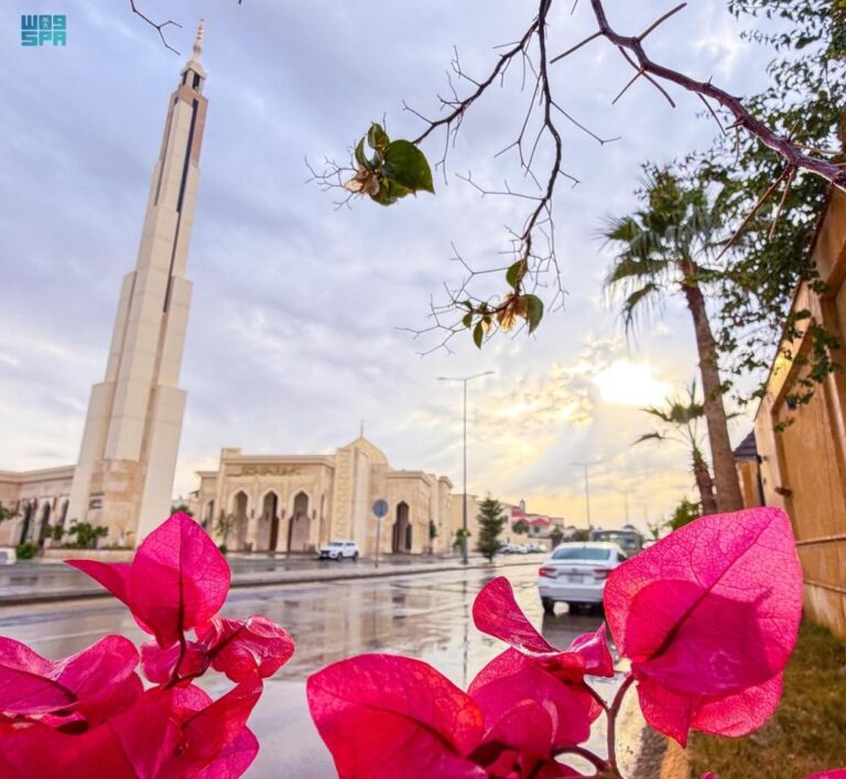 7c95efc7 ea7f 4c97 ab40 0c13e04c6940 file.jpg