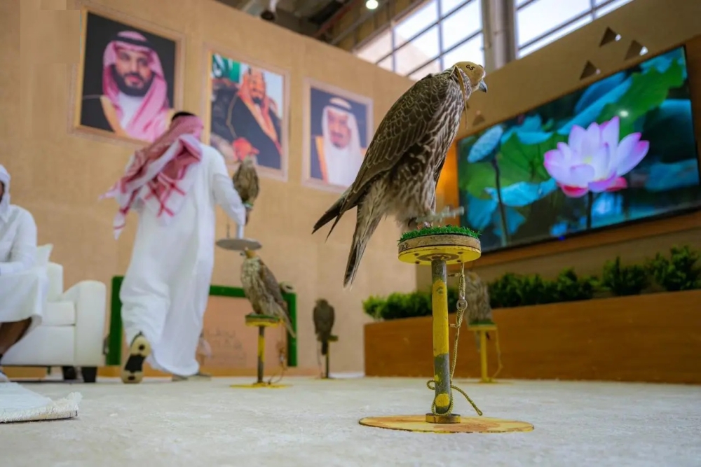 الخميس.. انطلاق مهرجان الملك عبدالعزيز للصقور 2025 في مَلهم