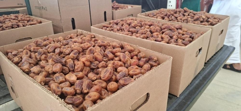 7db01bd0 9124 4049 97f5 92619241fd14 file.jpg