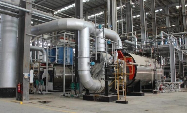 833c6a81 0e75 4ed3 ba94 3532395f739f file.jpg