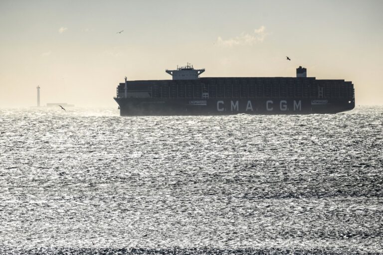 8732c575 988d 4eb8 94d6 04e591140ba6 file.jpeg