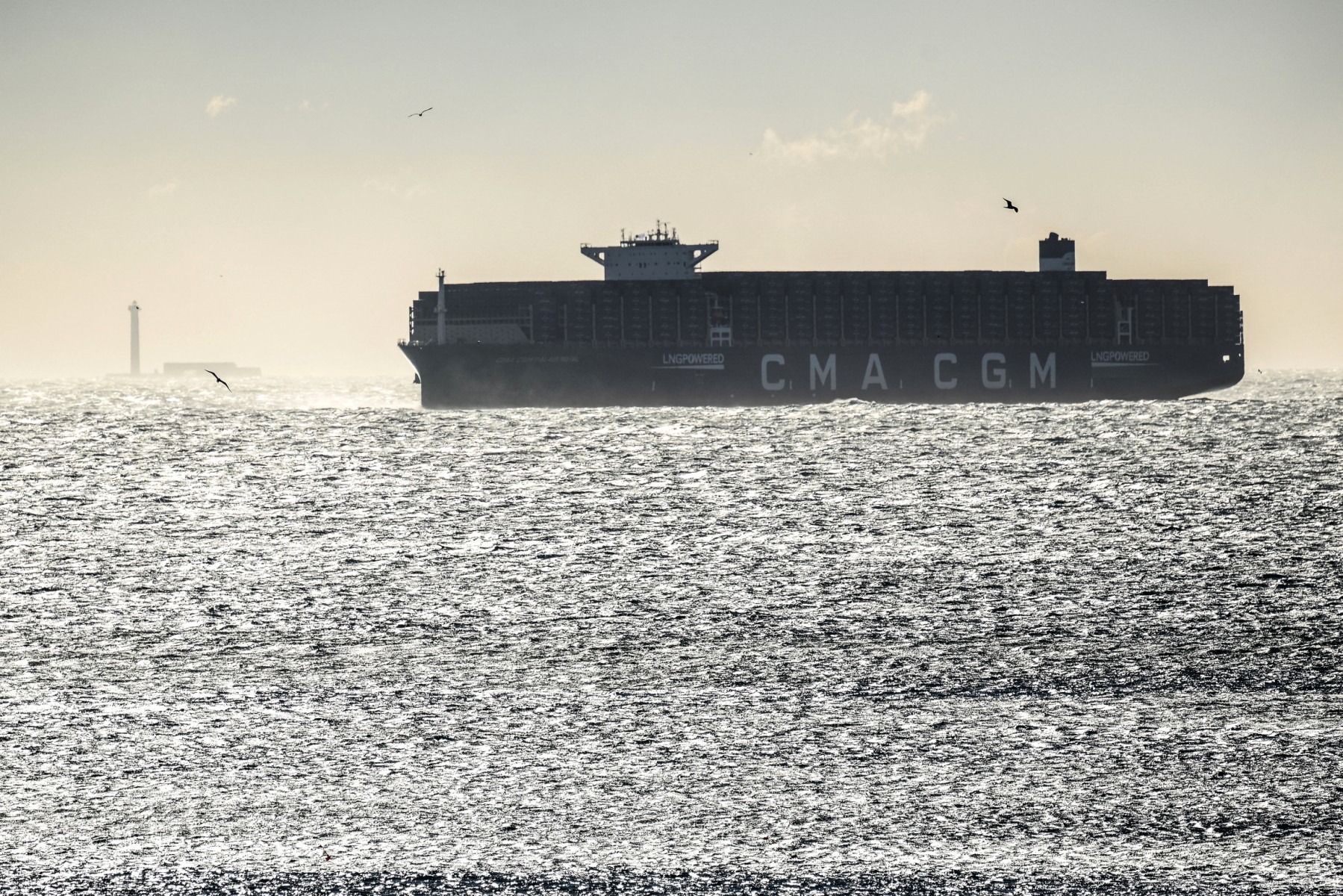 8732c575 988d 4eb8 94d6 04e591140ba6 file.jpeg