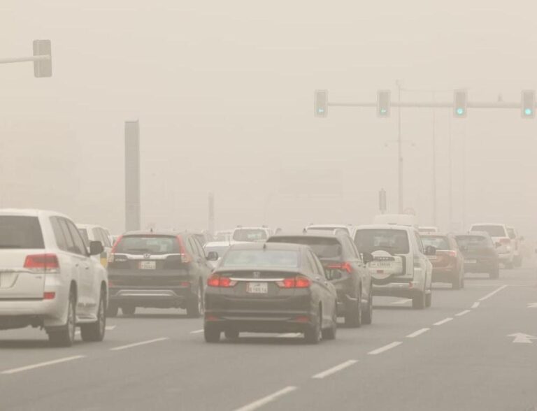 879adee0 dd57 4c18 ad3b 9cf676447c0b file.jpg