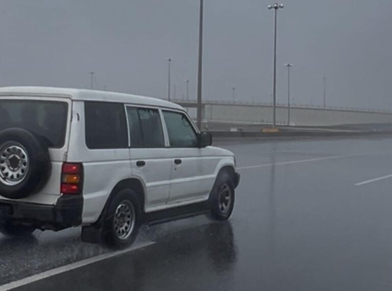 8a58d2fd 2877 439a 8c75 d4150173dd80 file.jpg