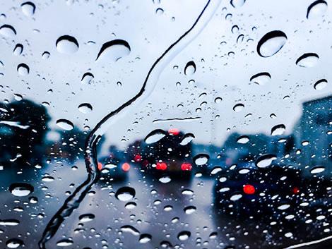 8af85565 92fe 4274 b0b5 cbe7488d9558 file.jpg