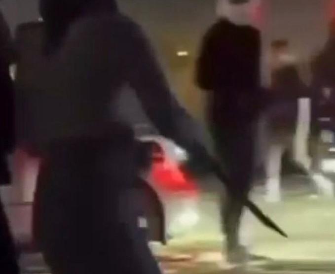 8b97013b a80f 43e0 9b24 1f0fed165c3e file.jpg